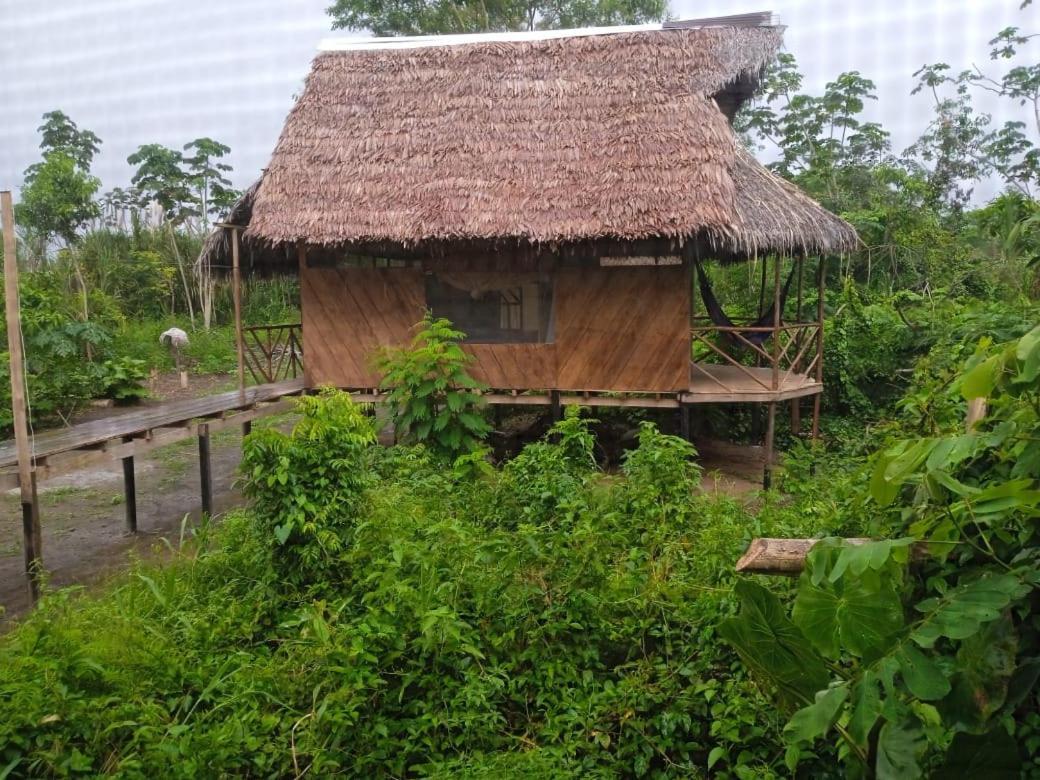 Camungo Lodge In Indigenous Community All Inclusive Nauta エクステリア 写真