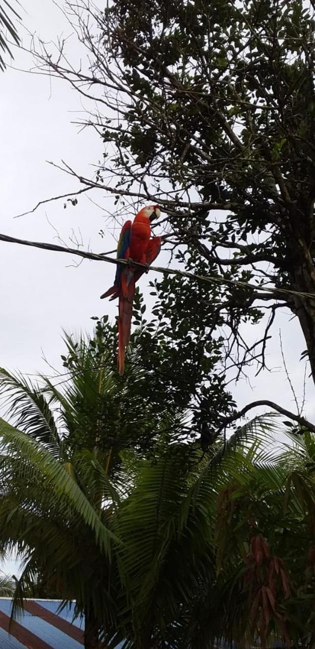 Camungo Lodge In Indigenous Community All Inclusive Nauta エクステリア 写真