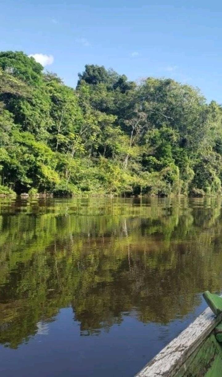 Camungo Lodge In Indigenous Community All Inclusive Nauta エクステリア 写真