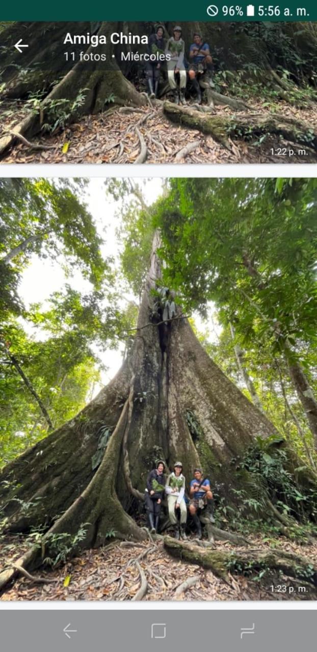 Camungo Lodge In Indigenous Community All Inclusive Nauta エクステリア 写真