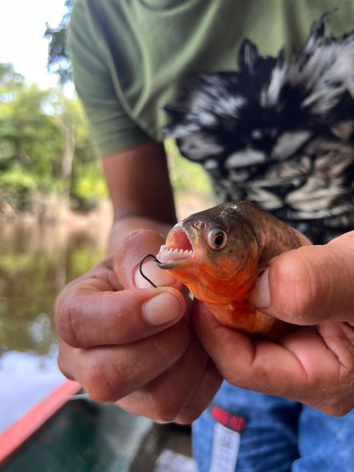 Camungo Lodge In Indigenous Community All Inclusive Nauta エクステリア 写真